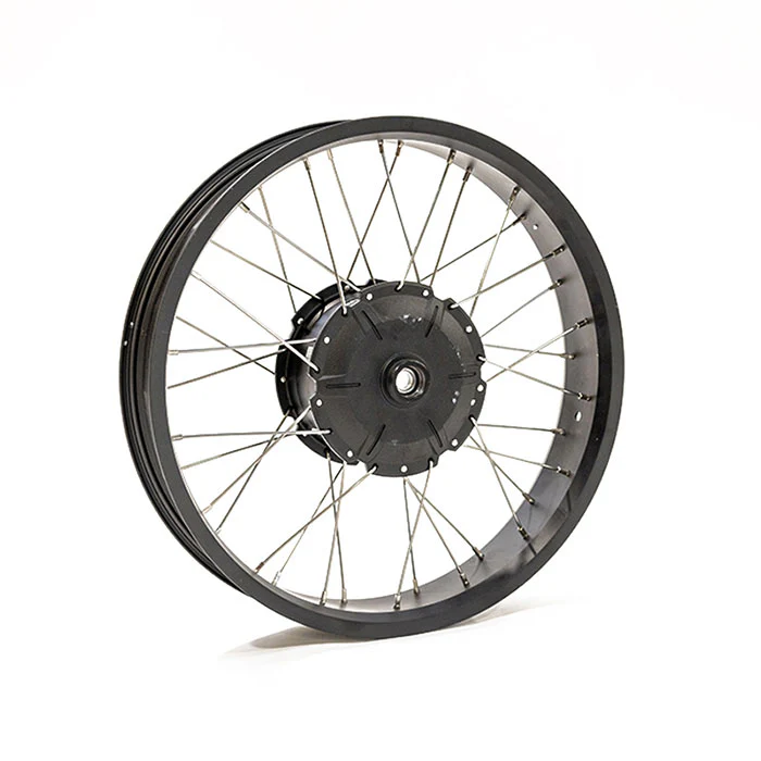 Rear Wheel Assembly 20x4 - without rim holes