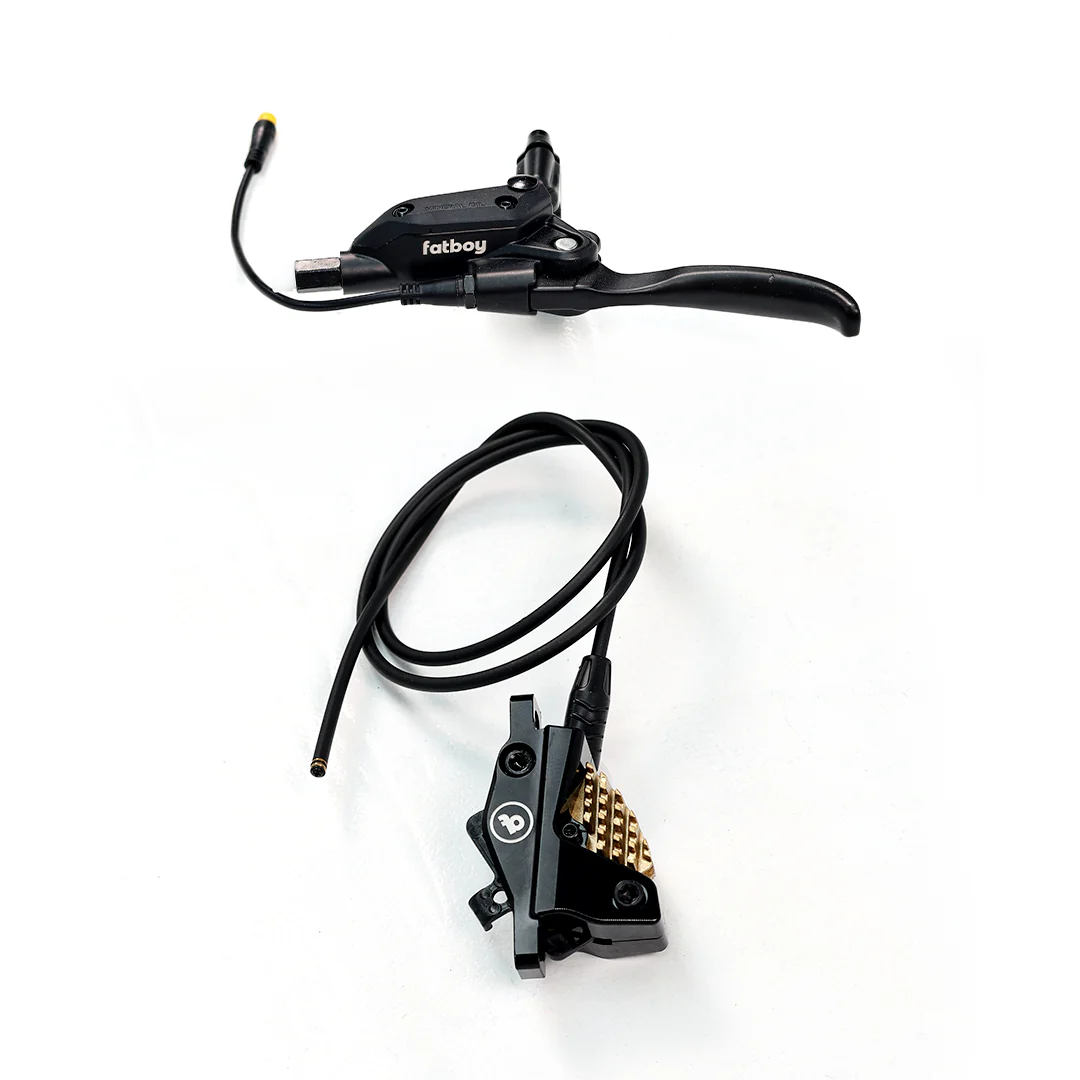 V3 Rear Brake Assembly