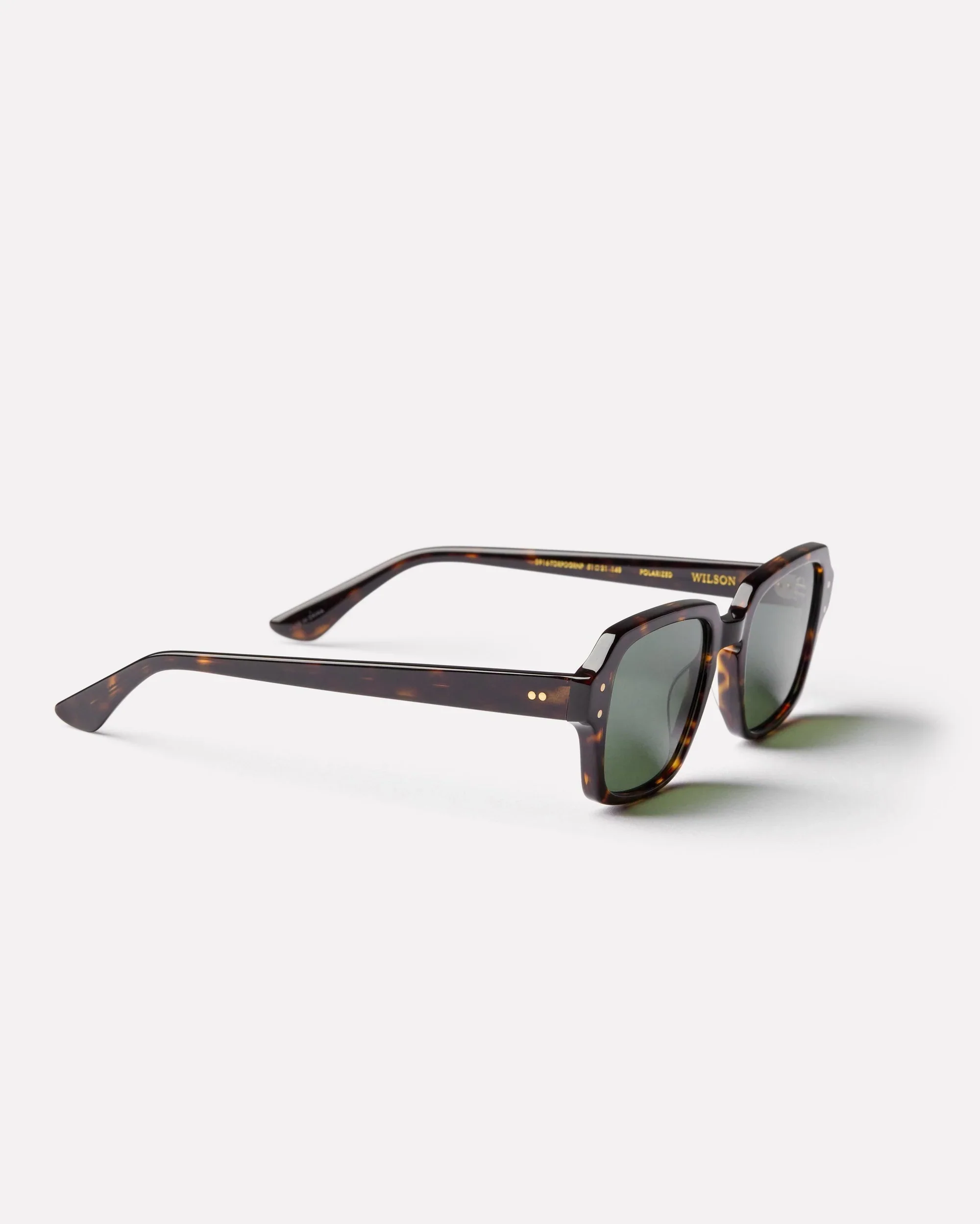 Wilson - Tortoise Polished / Green Polarized - Image 5