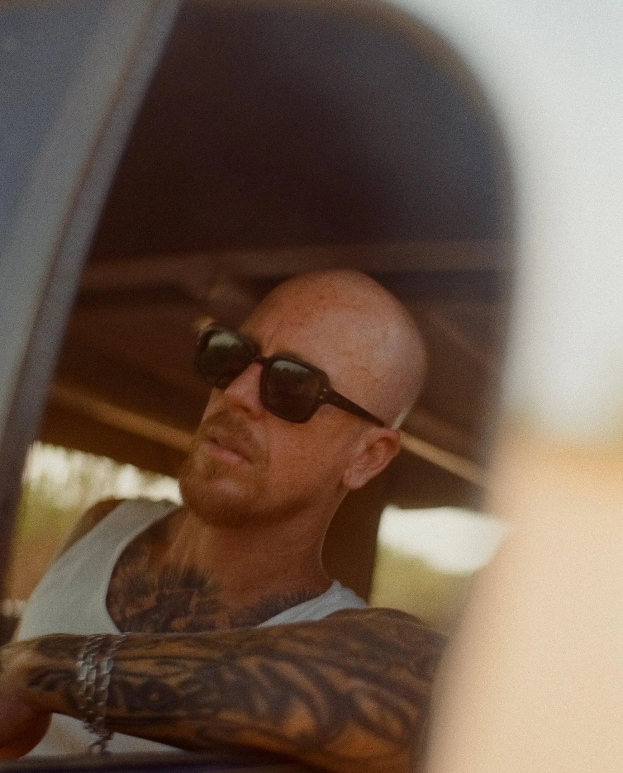 Wilson - Tortoise Polished / Green Polarized - Image 7